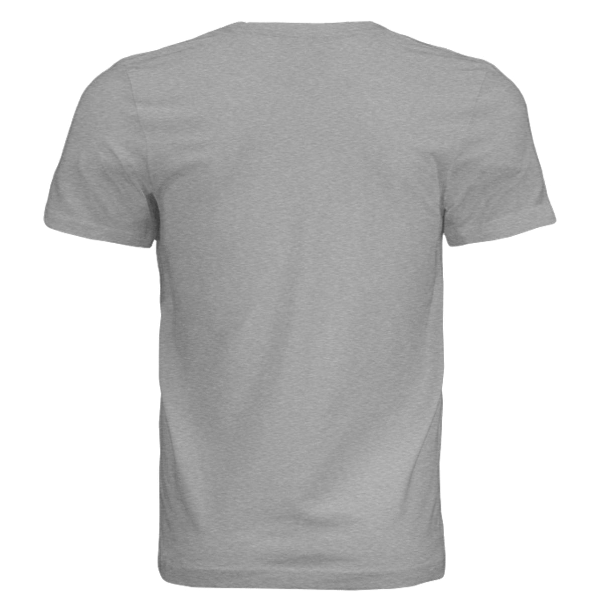 Athletic Grey Triblend - 3413C - BACK